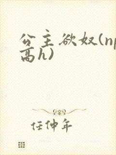 公主欲奴(np高h)