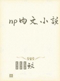 np肉文小说封面
