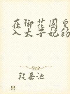 在御花园皇上进入太子妃的小说封面