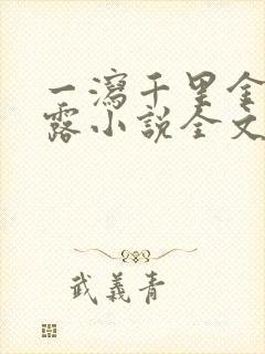 一泻千里金银花露小说全文免费阅读封面