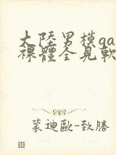 大陆男模gay裸体全见软件