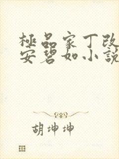 极品家丁改编版安碧如小说免费阅读