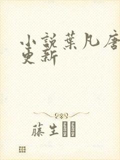 小说叶凡唐若雪更新