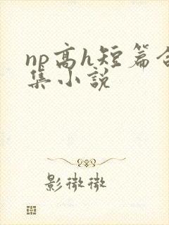 np高h短篇合集小说