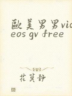 欧美男男videos gv free