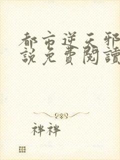 都市逆天邪医小说免费阅读