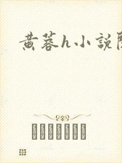 黄蓉h小说阅读