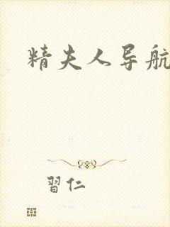 精夫人导航封面