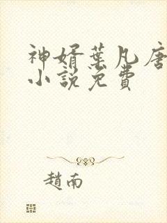 神婿叶凡唐若雪小说免费封面