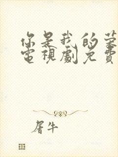 你是我的荣耀2电视剧免费观看