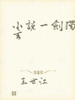 小说一剑独尊叶玄
