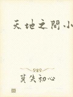 天地之间小说封面