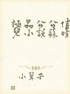 极品公公俏媳妇儿小说苏晴封面