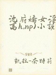 沈府娇女淫史(高h,np)小说