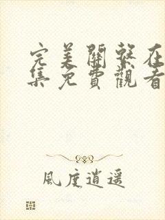 完美关系在线全集免费观看完整版