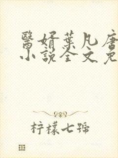 医婿叶凡唐若雪小说全文免费阅读封面