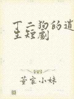 丁二狗的逍遥人生短剧封面