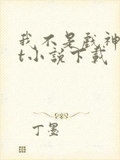 我不是戏神txt小说下载