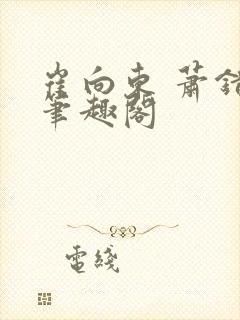 崔向东 萧错 笔趣阁