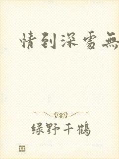 情到深处无怨尤