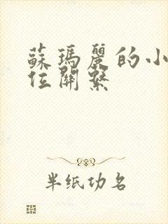 苏玛丽的小说错位关系