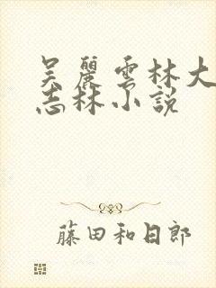 吴丽云林大娘王志林小说