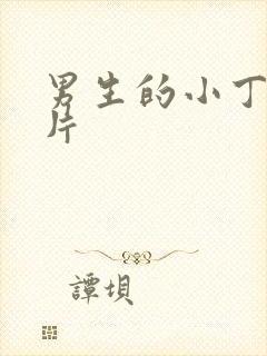 男生的小丁丁照片