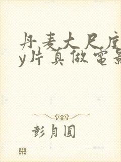 丹麦大尺度gay片真做电影