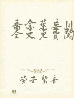 乔念叶妄川正版全文免费阅读最新笔趣阁