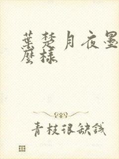 叶楚月夜墨寒怎么样