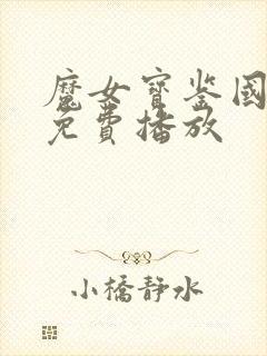 魔女宝鉴国语版免费播放