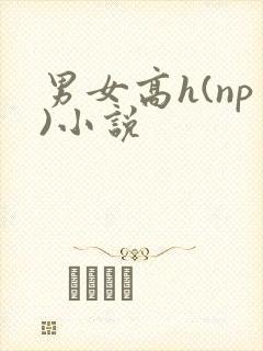 男女高h(np)小说