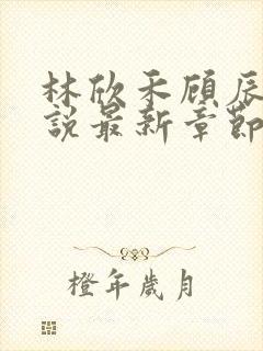 林欣禾顾辰昀小说最新章节免费阅读封面