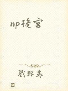 np后宫