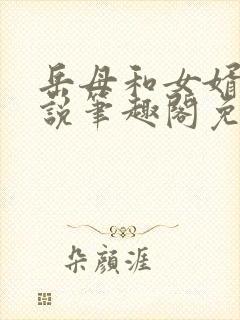 岳母和女婿的小说笔趣阁免费阅读全