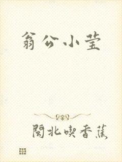 翁公小莹封面