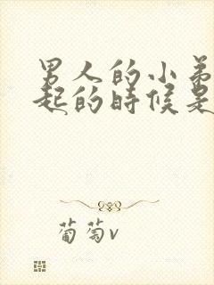 男人的小弟弟勃起的时候是哪个阶段