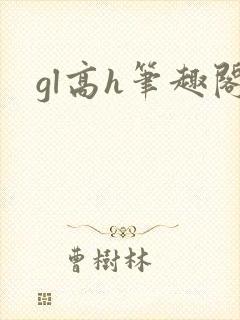 gl高h笔趣阁封面