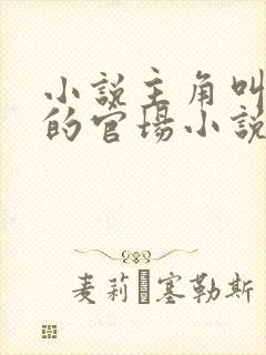 小说主角叫李威的官场小说