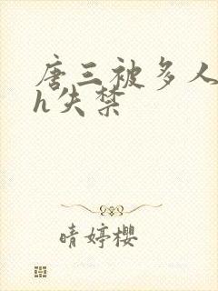 唐三被多人玩弄h失禁封面