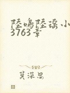 陆鸣陆瑶小说第3763章