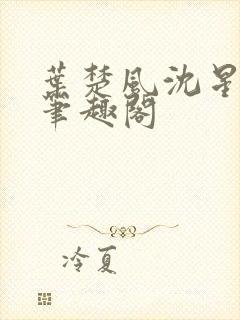 叶楚风沈星岚2笔趣阁