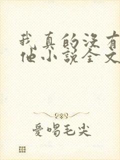 我真的没有引诱他小说全文免费阅读笔趣阁