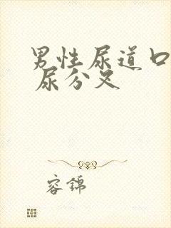 男性尿道口肿大 尿分叉