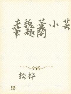 老魏董小芸全文笔趣阁