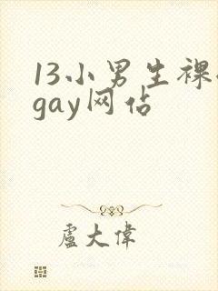 13小男生裸体gay网站