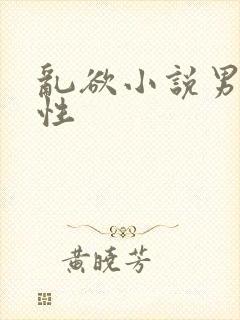 乱欲小说男男同性封面