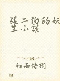 张二狗的妖孽人生小说