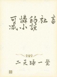 可怜的社畜无删减小说