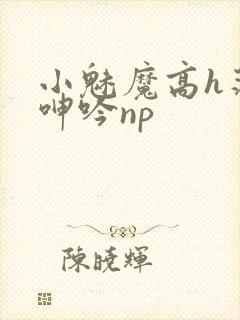 小魅魔高h荡肉呻吟np